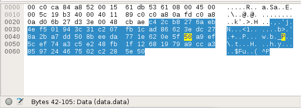 UDP Packet Data