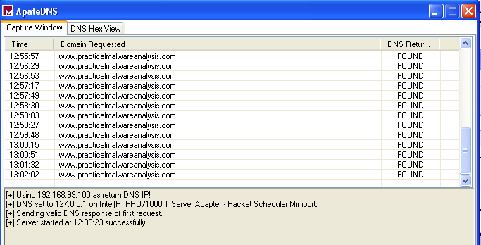 Lab03-01.exe Making DNS Request