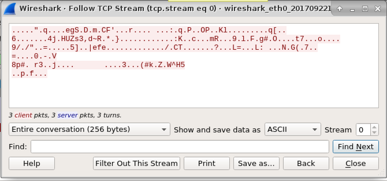 Lab03-01.exe Wireshark